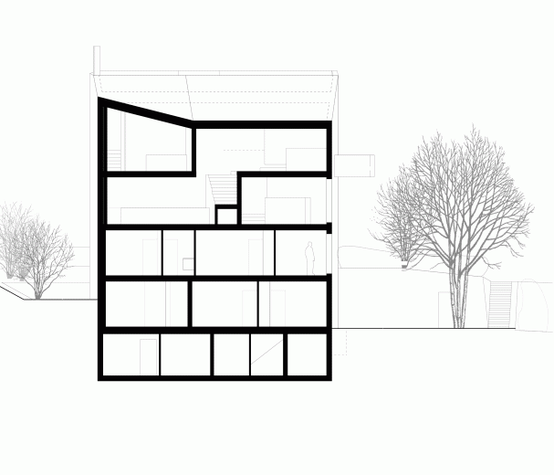 Schnitt längs zum Hadlaubsteig